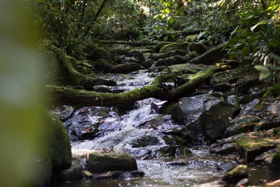 Pousada Bergen Huetten Rio Fortuna Buitenkant foto